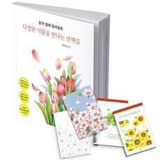 꽃과 열매 컬러링북 엽서 도안 세트:다정한 식물을 만나는 산책길, 리얼북스, 박명주(모소)