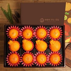 명절 선물 혼합과일 배/사과 선물세트 추석 설 제수용 선물용, 혼합과일 8호 한라봉4개+천혜향4개+레드향4개, 1개