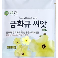 고운블랙 금화규 꽃 씨앗 500립 콜라겐꽃 23년산, 1개