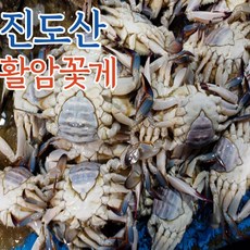 진도꽃게