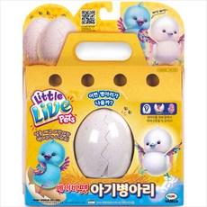 움직이는병아리