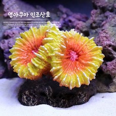 부산아쿠아리움입장권