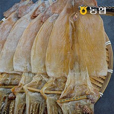 강릉마른오징어