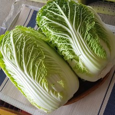 강원도고냉지배추알배추