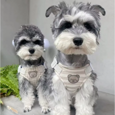 강아지 곰돌이 반려동물 목줄 하네스 산책 세트줄, Stripe, 1개