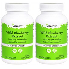 Vitacost Wild Blueberry Extract 비타코스트 와일드 블루베리 1000mg 120캡슐 2팩