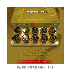 gx-10아이피스