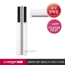 [LG전자] 인공지능 WHISEN ThinQ 듀얼 2in1 에어컨 FQ18SADWA2 (기, 상세 설명 참조