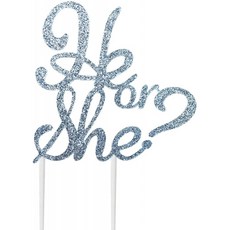 CMS Design Studio Handmade Gender Reveal Cake Topper Decoration-He or She-Double Sided Glitter Sto, 단일상품