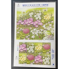 멸종위기식물책