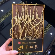 중국산삼