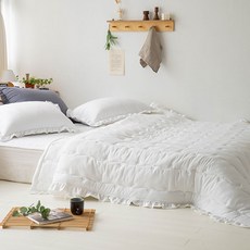 캐논ae-1소프트버튼