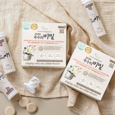 대령숙수 육수의비밀 오리지널순한맛 4g 30정 19가지 자연재료, 2박스, 120g