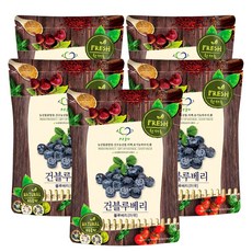 푸른들판 건블루베리 반건조 말린 건조 블루베리 과일 말랭이 베리류 샐러드 베이글 베이킹 토핑, 5개, 300g
