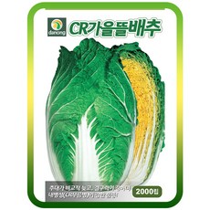 어깨동무콩나물