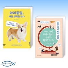 아리둥절에세이