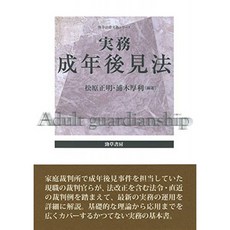 실무 성년 후견 법 (勁草 법률 실무 시리즈), 단일옵션, 단일옵션