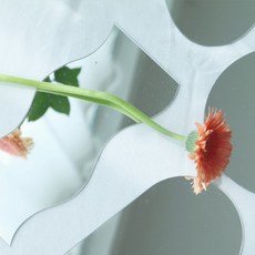 촬영용거울