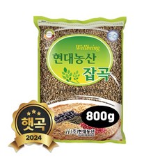 2024년 햇곡 국산 흑보리 검정보리 800g, 1개
