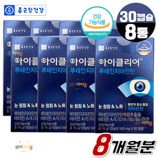 (와이아이몰) 루테인 지아잔틴 비타민A 눈침침 눈건강 영양제 차인표 아이클리어 식물성캡슐, 8박스, 31캡슐