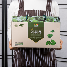 추천9머위뿌리효능