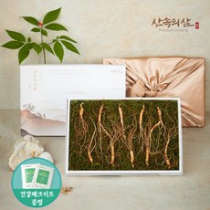 장뇌삼 TOP01