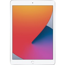 Apple [추가금액없음] MYLA2LLA 아이패드 8세대 iPad (10.2-inch Wi-Fi 32GB) Silver (8th Generation)