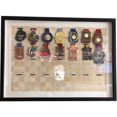 태권도단증케이스