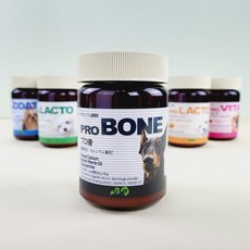 프로락토 프로본 프로비타 프로코트 강아지 고양이 유산균 관절 슬개골 피부 비타민 영양제, 뼈/관절강화, 120g, 1개
