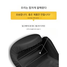 말총글러브 전문 남녀공용 권투글러브 스파링 권투장갑, 10oz, B, 1개