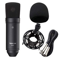 tascam마이크