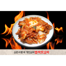 김춘자명인 소문난 썰은맛김치주문 매운불닭 실비김치 1KG 3KG 5KG 국내산100% 국산배추김장김치 HACCP 해썹 전라도 국밥맛집 감칠맛장인, 10kg, 1개