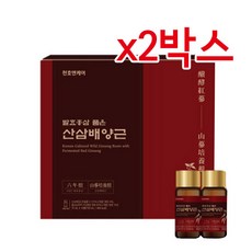 천호엔케어 발효홍삼품은 산삼배양근 75mlx10병 2박스 (총 20병), 20개, 75ml