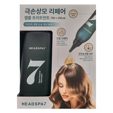 헤드스파 7 피토리페어 앰플 트리트먼트 210ml + 750ml 코스트코, 2개