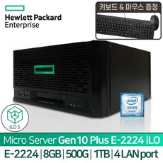 HP 프로라이언트 MicroServer Gen10 Plus E-2224 iLO (8G.500G 1T)