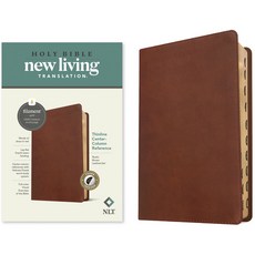 (영문도서) NLT Thinline Center-Column Reference Bible Filament-Enabled Edition (Red Letter Leatherlike... Imitation Leather