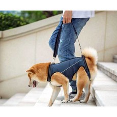 사계절 강아지디스크 재활 강아지디스크보호대 노견, 1개, 노랑 S (6-15kg)