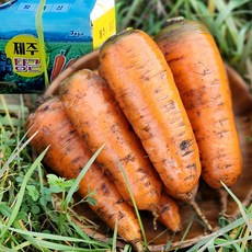 친정엄마꾸러미 뚝딱 청양고추 (냉동), 400g, 1개 채소 9 국내산 제주 햇 흙당근 생식용 요리용, 1개, 흙당근1kg(중),100g내외