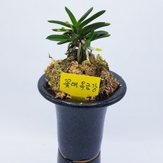 2814a1da52f7ce6f885ec605c730bec2f830469938c6cdac5240a0b89df8.jpg