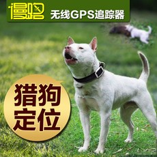 개목걸이gps