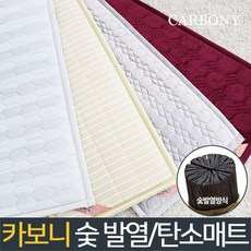 쇼파탄소매트