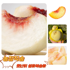 [굿피플] 황금당도 못난이 겨울복숭아 설아복숭아 복숭아, 1박스, 못난이 설아복숭아 2kg (6~8구)