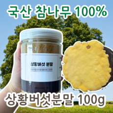 상황버섯분말 참나무 버섯가루 국산 상황버섯 분말 100프로 국내산, 100g, 1개