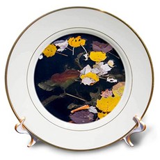 Yellow and brown autumn season on dark cold water leaves - plate (CP_336575_1), 본상품