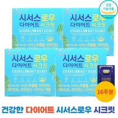 테크노시저스