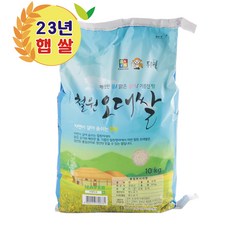 철원오대쌀 23년산 햅쌀 DMZ 대마리 10kg, 1개