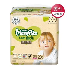 순면대방석등쿠션세트