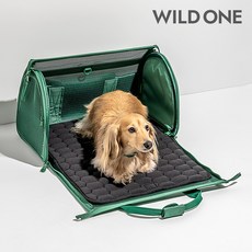 Wild One 강아지 여행용 캐리어 이동장 유모차 하우스 이동가방 항공기용 켄넬 와일드원, 스프루스_Spruce, 1개