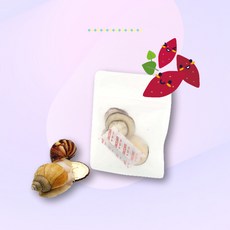건조고구마 달팽이 먹이 애완달팽이 밥 방달팽이연구소 제작, 건조 고구마, 1개