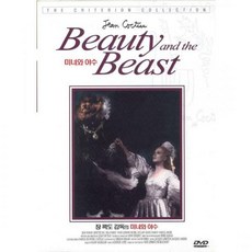 뷰티인사이드dvd